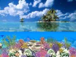 Coral Island