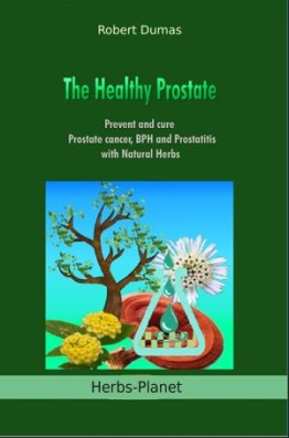 The Healthy Prostate