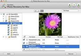 Tenorshare Photo Repair for Mac