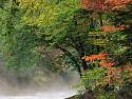 Autumn Season