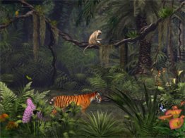 Deep in the Jungle