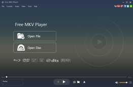 Aiseesoft Free MKV Player