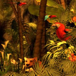 3D Rain Forest Adventures