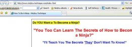 Ninja Training Toolbar