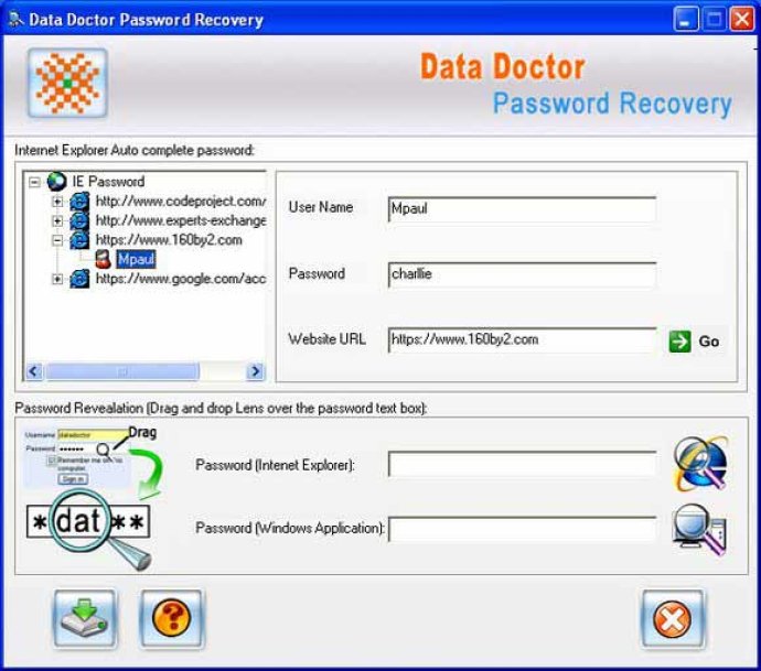 IE Passwords Recovery Software