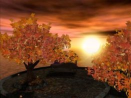 Autumn Sunset