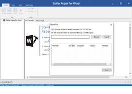 Stellar Repair for Word