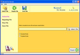 Kernel Access Database Repair Software