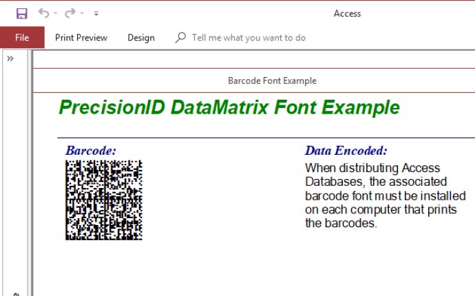PrecisionID Data Matrix Barcode Fonts
