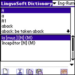 LingvoSoft Dictionary English <-> Romanian for Palm OS