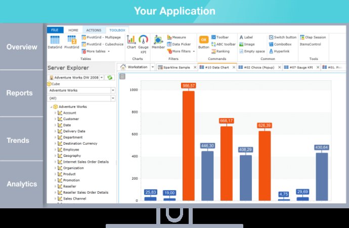 Ranet OLAP for WPF/Silverlight