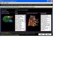 MB Aztec Astrology