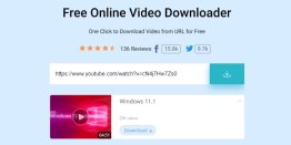 AceThinker Online Video Downloader
