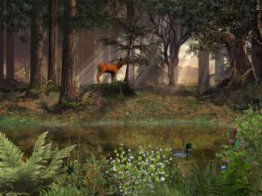 Deep in the Forest