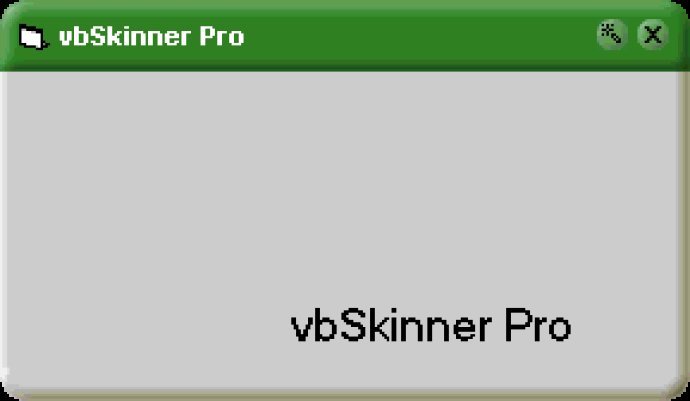 vbSkinner Pro 2 (1 developer license)