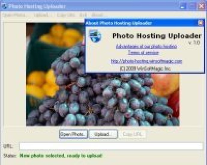 Photo Hosting Uploader