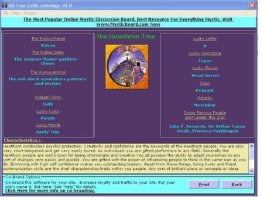 MB Celtic Astrology