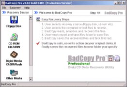 BadCopy Pro v3.9 build 0709