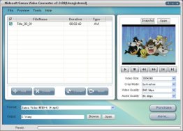 Nidesoft Sansa Video Converter