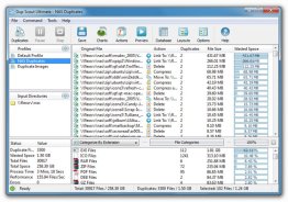 DupScout Pro