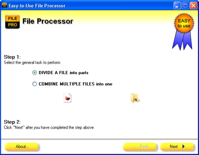 Easy-to-Use File Processor