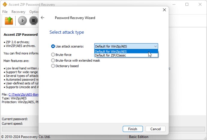 Accent ZIP Password Recovery Accent ZIP Password Recovery