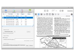 Lighten PDF to Word Converter