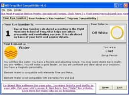 MB Feng Shui Compatibility