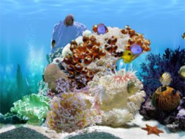 FP :: Amazing 3D Aquarium ADD-on  :: Chaetodont II - Fish Pack