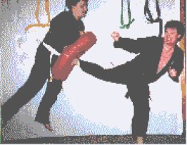 Affiliate Package for Solo Martial Arts
