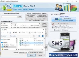 Bulk Messages Managing Software