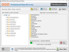 Files Restore Services