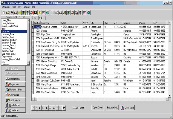 Accuracer Database System VCL