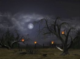 Halloween Night [AD]