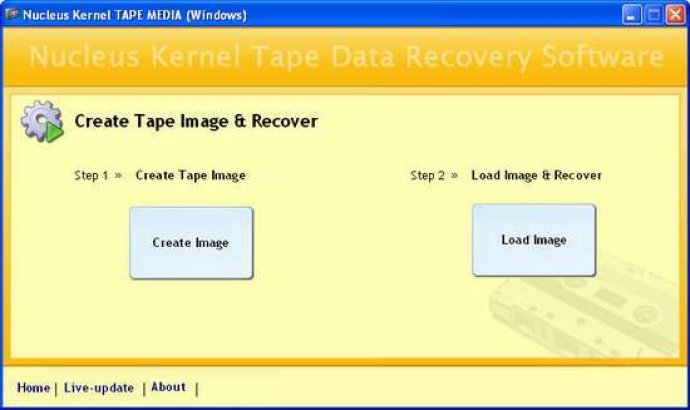 Tape Data Recovery