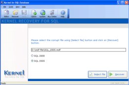 SQL Repair
