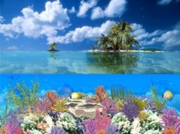 Coral Island [AD]