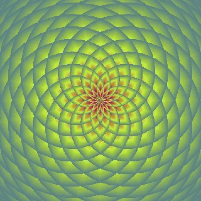 Hypnotic Lotus