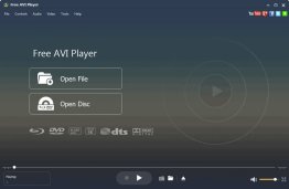Aiseesoft Free AVI Player