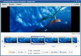 ThunderSoft Video to GIF Converter