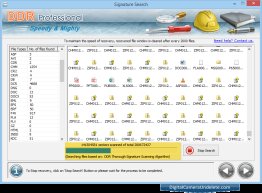 Professional - Data Recovery Software