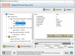 Digital Picture Data Recovery