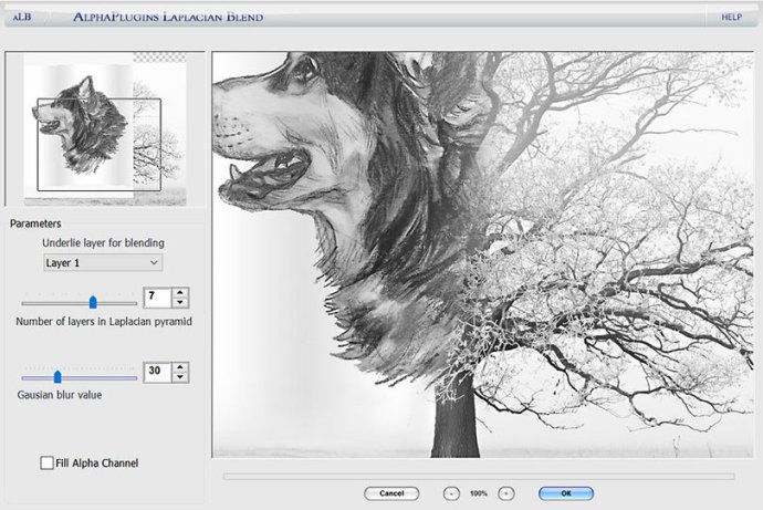 AlphaPlugins LaplacianBlend (Win)