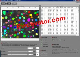 Pixcavator Image Analysis Software