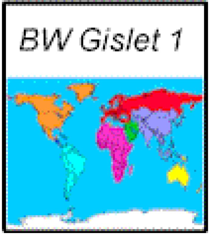 BW Gislet 1.0