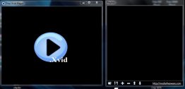 Free XVID Player