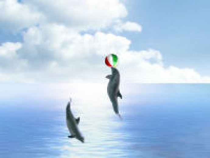 Dolphin Dreams Screensaver