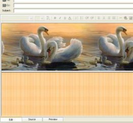 Wings II Email Stationery