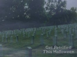 Get Petrified Halloween Wallpaper