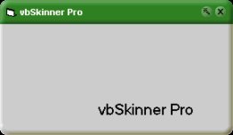 vbSkinner Pro 2 (1 developer license)